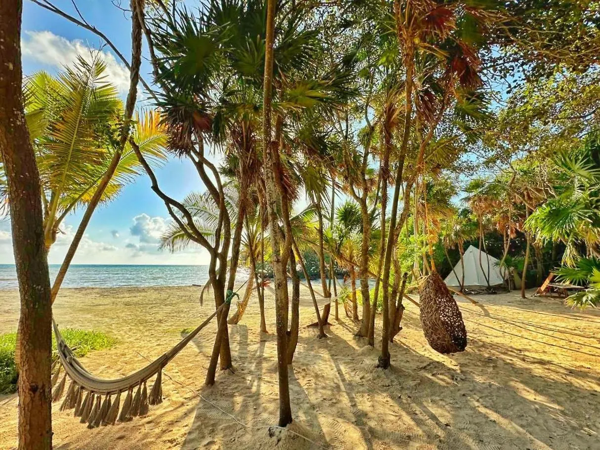 Luxury tent Beachfront Luxury Glamping Punta Allen