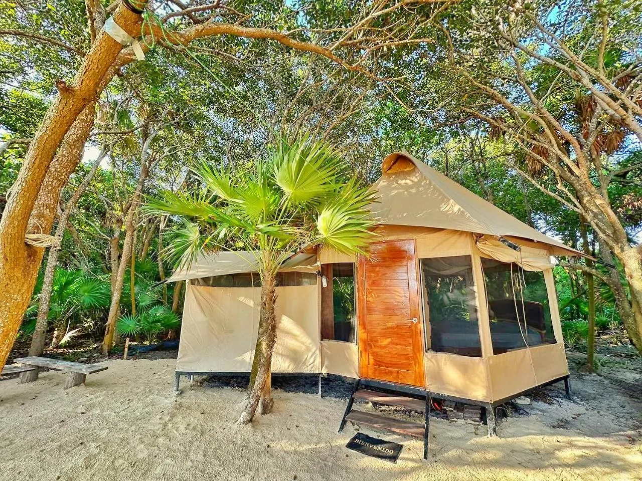 Beachfront Luxury Glamping location