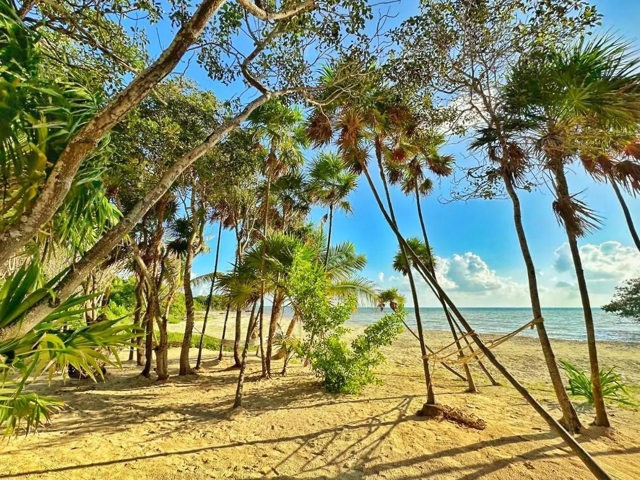 Beachfront Luxury Glamping Punta Allen Luxury tent